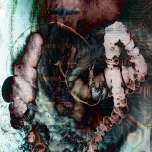 circuit-storm-in-my-gut